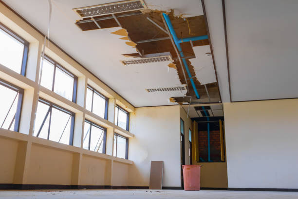 Best Water damage repair service  in Westernport, MD