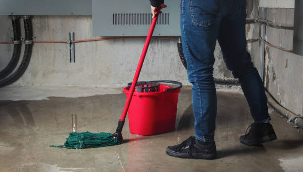 Best Residential water damage restoration  in Westernport, MD