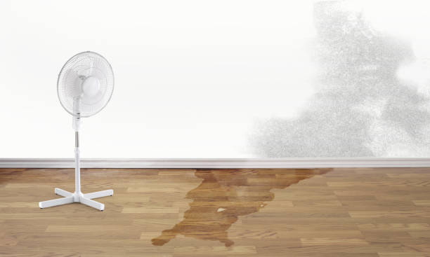 , MD Water damage restoration Company