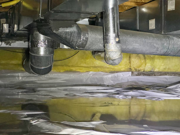 Best Flood damage cleanup  in Westernport, MD